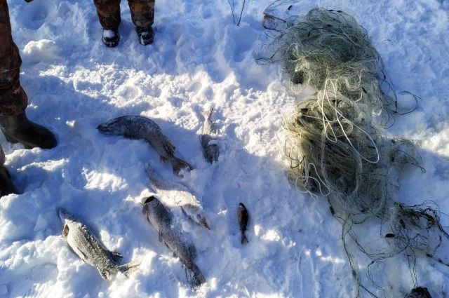 На озере Увильды в Челябинской области нашли браконьерские сети