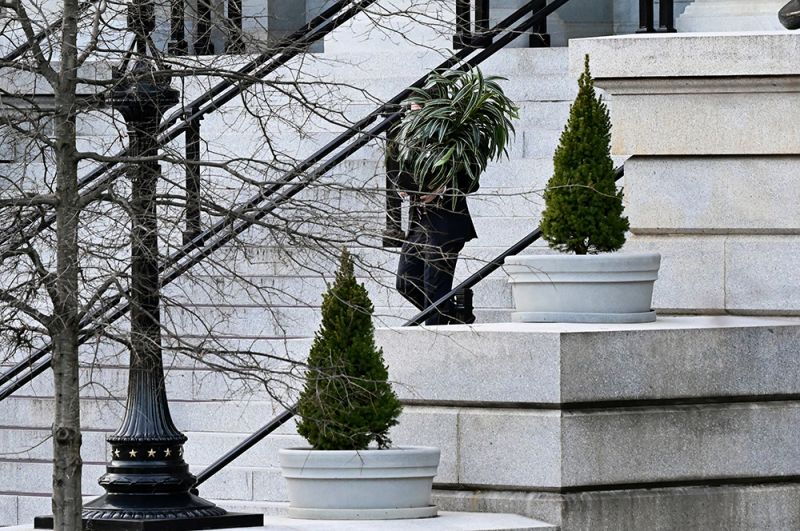 Сотрудник выносит растения из административного здания на территории Белого дома.