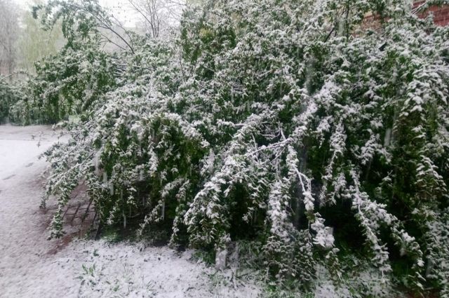 Снегопад задержится в Петербурге до 22 января