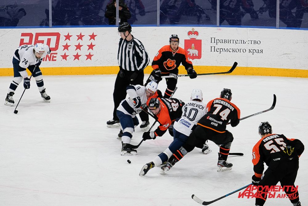 Домашний матч «Молот-Прикамье» - «Динамо» в Перми.