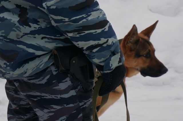 В Волгоградской области полицейские оборвали канал поставки наркотиков