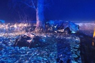 В Житомирской области автомобиль врезался в дерево и загорелся: есть жертвы