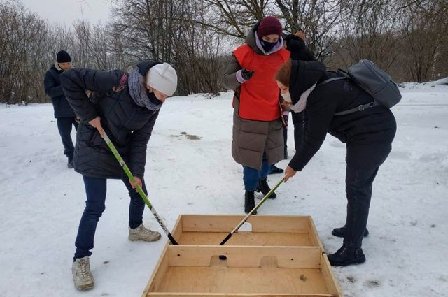 Фестиваль зимних видов спорта состоялся в Брянске
