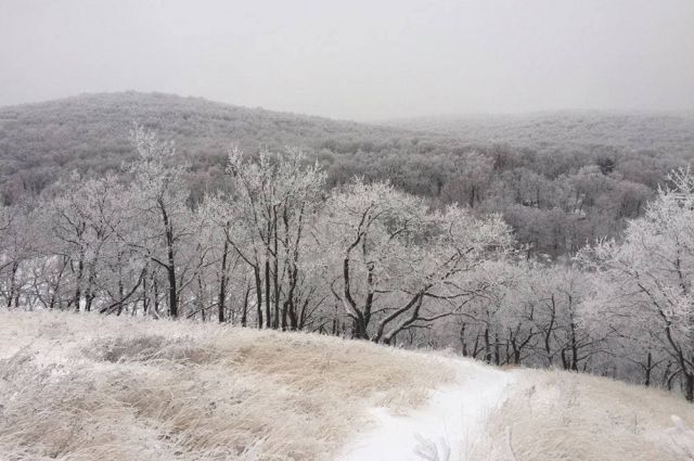 Погода в Хабаровском крае и ЕАО на 25 января