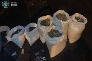 СБУ изъяла партию янтаря весом почти 180 килограммов