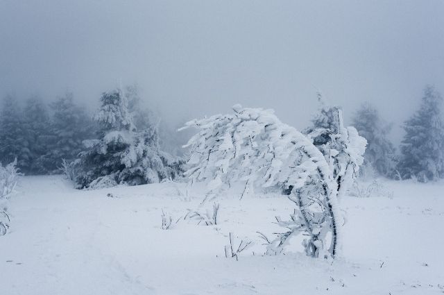 Погода в Югре на 27 января: местами снег