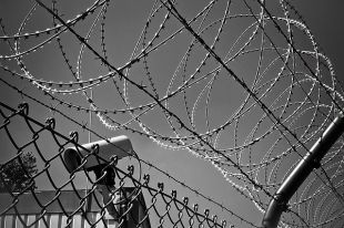 Тюменка получила 12 лет тюрьмы за убийство сожителя