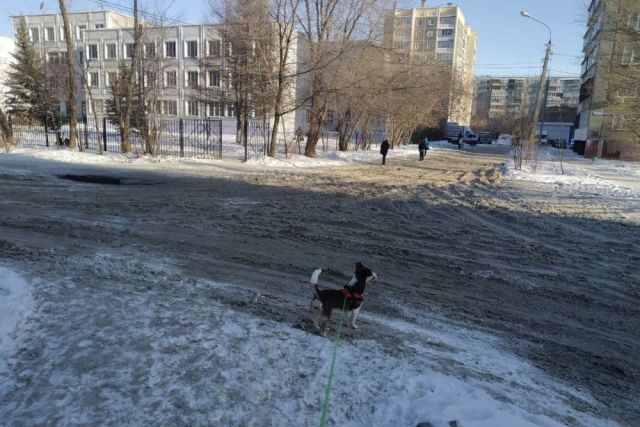 Жители жалуются на нечищеные дворовые проезды в Челябинске