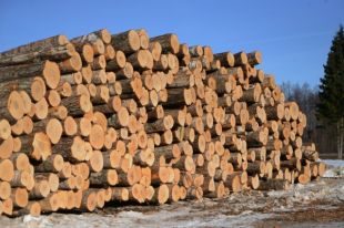 Запуск новой линии планируется в первом квартале 2021 года.