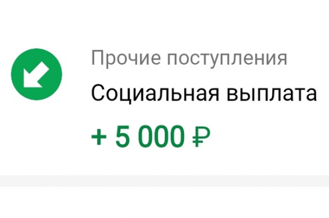 Пенсионный фонд России напоминает гражданам о сроках подачи заявления на единовременную детскую выплату в размере 5 тысяч рублей. 