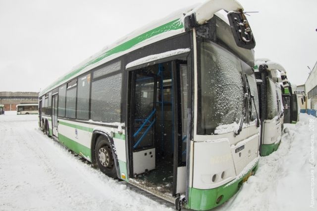 Первая партия автобусов из Москвы поступила в Смоленск