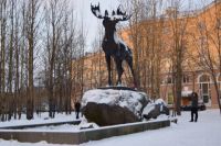 Самой популярной локацией в Мончегорске признан памятник лосю. Здесь стремятся побывать все гости города.