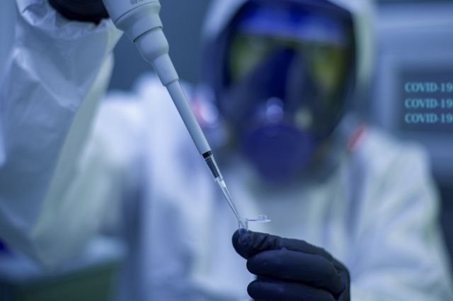 Всего 42 новых случая коронавируса выявлены в Псковской области за сутки