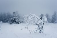 ​Мэрия Новосибирска предупреждает жителей об ухудшении погодных условий 3 февраля. В ближайшие сутки ожидается мокрый снег, метель и шквалистый ветер. 
