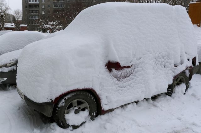 Снега в январе в Псковской области выпало на четверть больше нормы