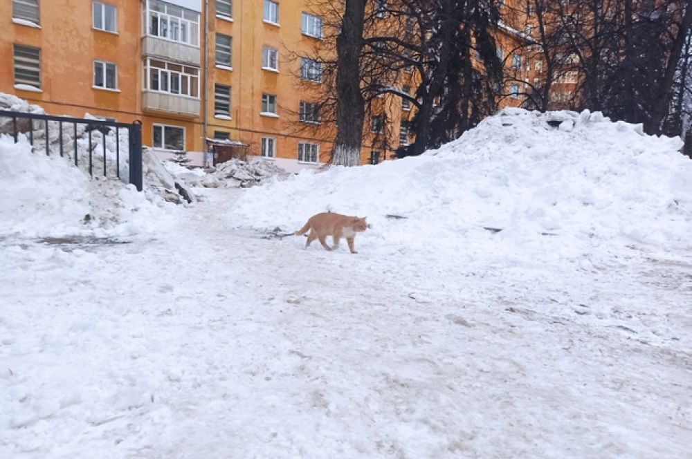 Двор на Худайбердина.