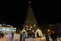 ​Демонтаж главной елки на площади Ленина в Новосибирске задерживают на три дня. Разобрать символ Нового года должны были 31 января, однако сроки пришлось сдвинуть из-за несанкционированных митингов. 