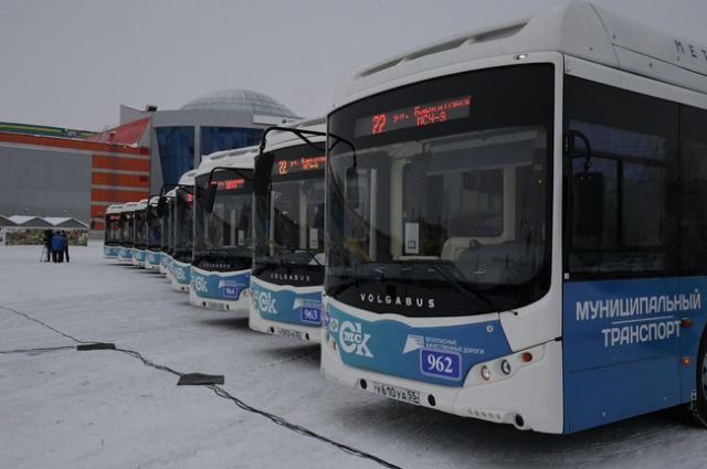 На омский маршрут запустят 20 новых автобусов марки VOLGABUS
