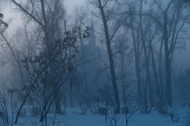 Ночь с 4 на 5 февраля стала самой холодной в Петербурге с начала зимы