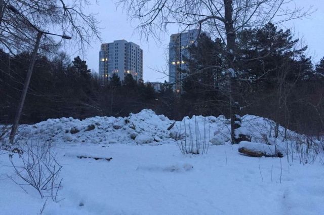 Незаконную свалку снега нашли в Челябинском бору
