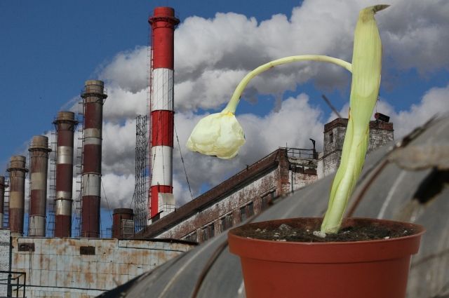 ЧЭМК снизит выбросы в Челябинске к концу 2022 года