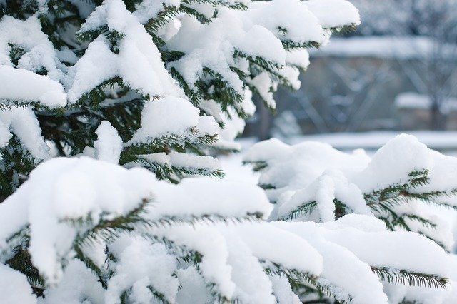 -21 градус мороза прогнозируется в Псковской области 7 февраля