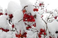 В Оренбуржье 9 февраля прогнозируется аномальное похолодание до -35 градусов.