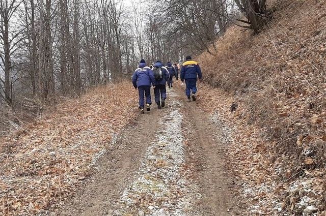 14 сборщиков черемши потерялись в горах Чечни и вышли из леса в Ингушетии