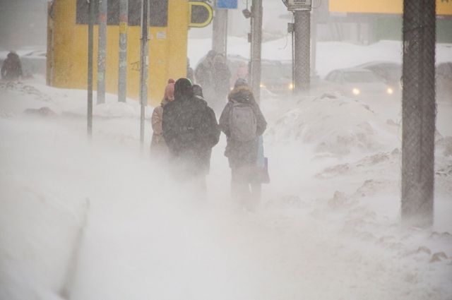 Две трассы в Новосибирской области закрыты из-за сильных метелей