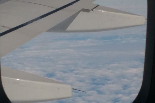 Блогер Wylsacom слетал в Сочи на арендованном самолете