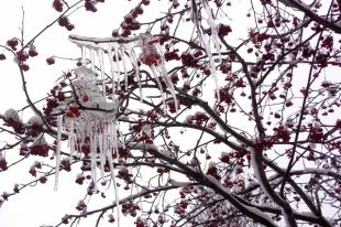 Что касается долгосрочных прогнозов, то во второй половине месяца вероятны холода и даже начало марта может быть холоднее климатической нормы.
