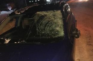 В Житомирской области автомобиль совершил наезд на 23-летнего пешехода.