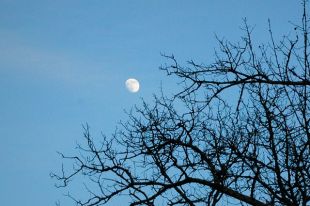 11 февраля 2021: праздник, день ангела, чего сегодня стоит опасаться