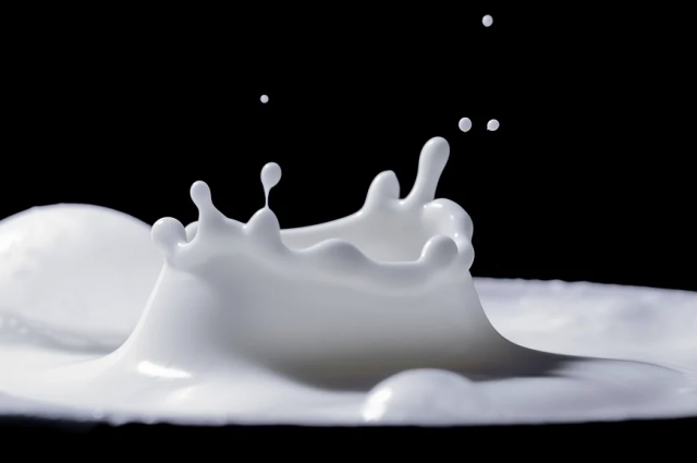 В Ярославской области за год произвели более 300 тысяч тонн молока