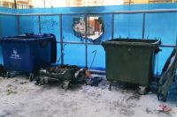 Тюменцев предупреждают об ответственности за сгоревшие мусорные баки