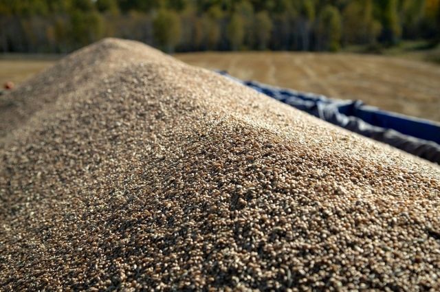 Погрузка зерна в Кузбассе в январе увеличилась более чем в 4 раза