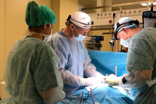 Кубанские хирурги приняли участие в уникальных операциях на обезьянах