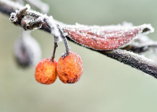 В Пензенской области ожидается оттепель, после которой вновь придут морозы
