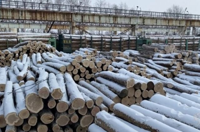 Сколько леса в россии на самом деле?