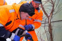 На улице Коммунистической в Тюмени строятся сети водоотведения