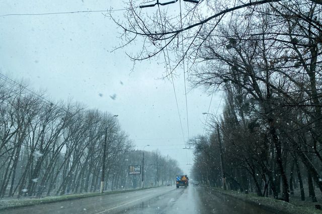 Синоптики рассказали о погоде в Петербурге, снегопада не будет