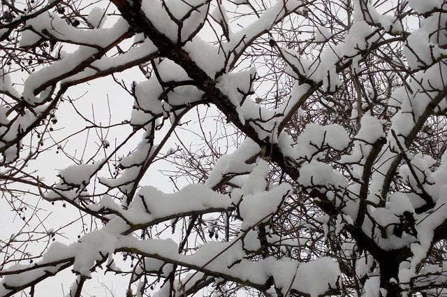 В Татарстане ожидается мокрый снег и мороз до -17 градусов в воскресенье