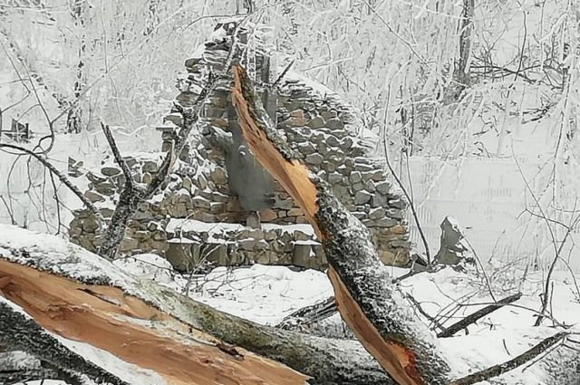 Прокуратура подтвердила легальность вырубок деревьев в Железноводске