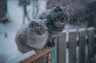 Прогноз погоды на 17 февраля: ожидается переменная облачность.