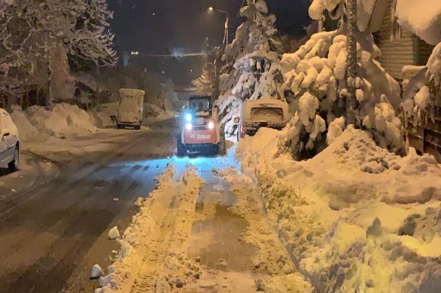 Под тяжестью снега в Сочи повалены 35 деревьев