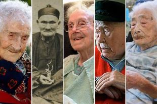 Жанна Кальман, Ли Цинъюнь, Сара Кнаусс, Кристиан Мортенсон, Наби Тадзима.