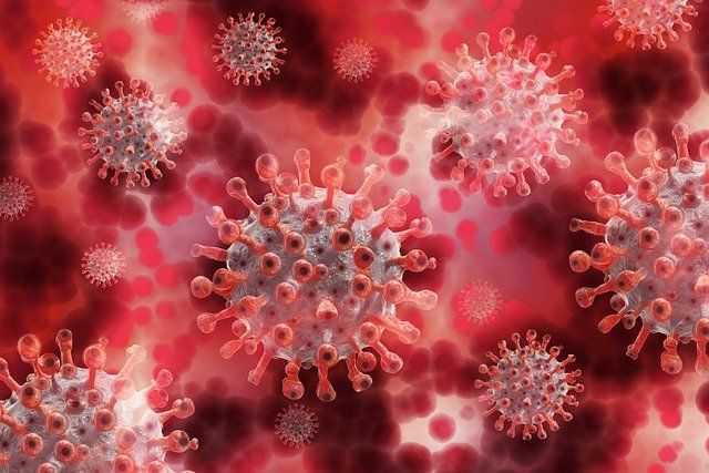 Коронавирусом в Костромской области за сутки заразились 44 человека