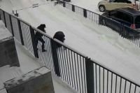 Двое мужчин повалили прохожего на снег, избили и отобрали у него пакет, в котором находилось не меньше 15 млн рублей 