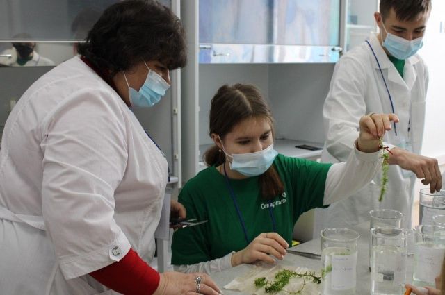 Саратовские школьники участвуют в опытах по очистке воды