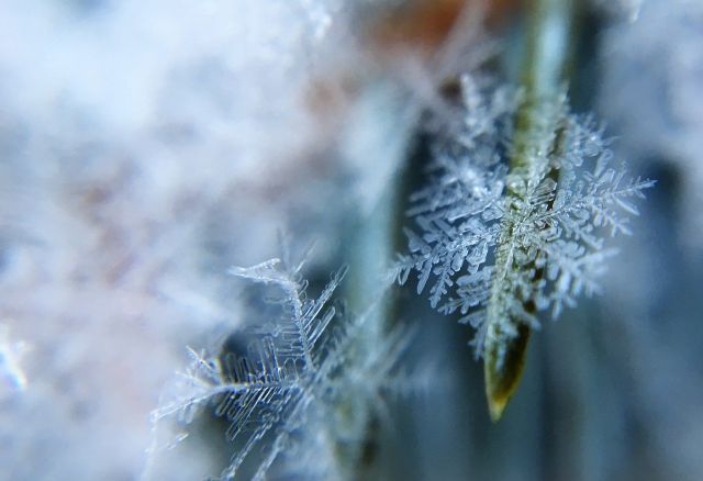 В Брянской области 20 февраля местами ожидается похолодание до -26ºC